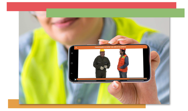 Programas de capacitación y cursos originales de Flip